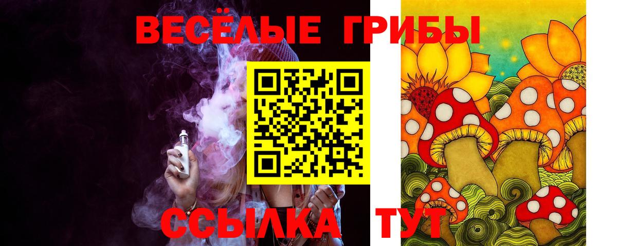 Галлюциногенные грибы MAGIC MUSHROOMS  Вход с VPN  Псилоцибиновые грибы MAGIC MUSHROOMS  цены   Заводоуковск 